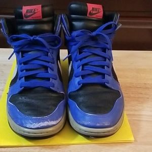 Nike Zoom dunks SE